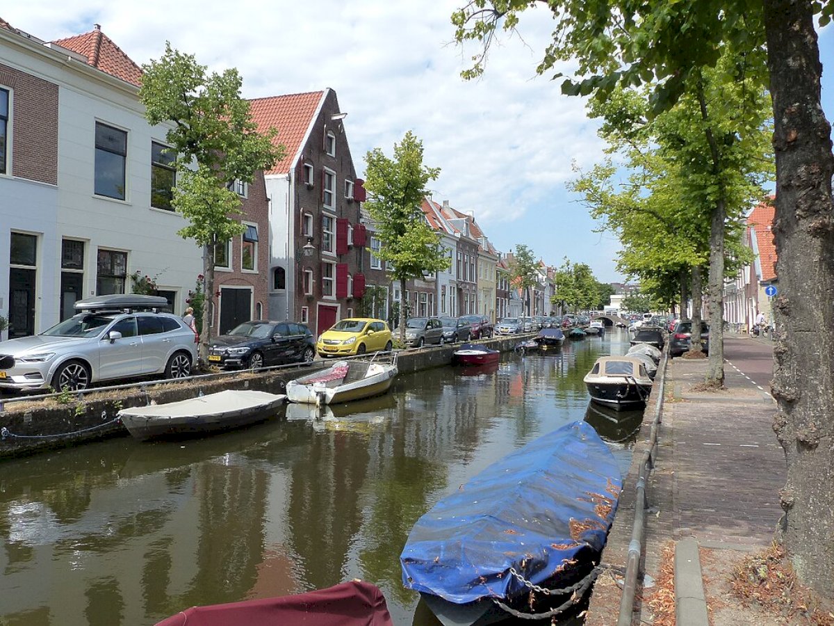 Environmental zone Haarlem: everything you need to know (2023)