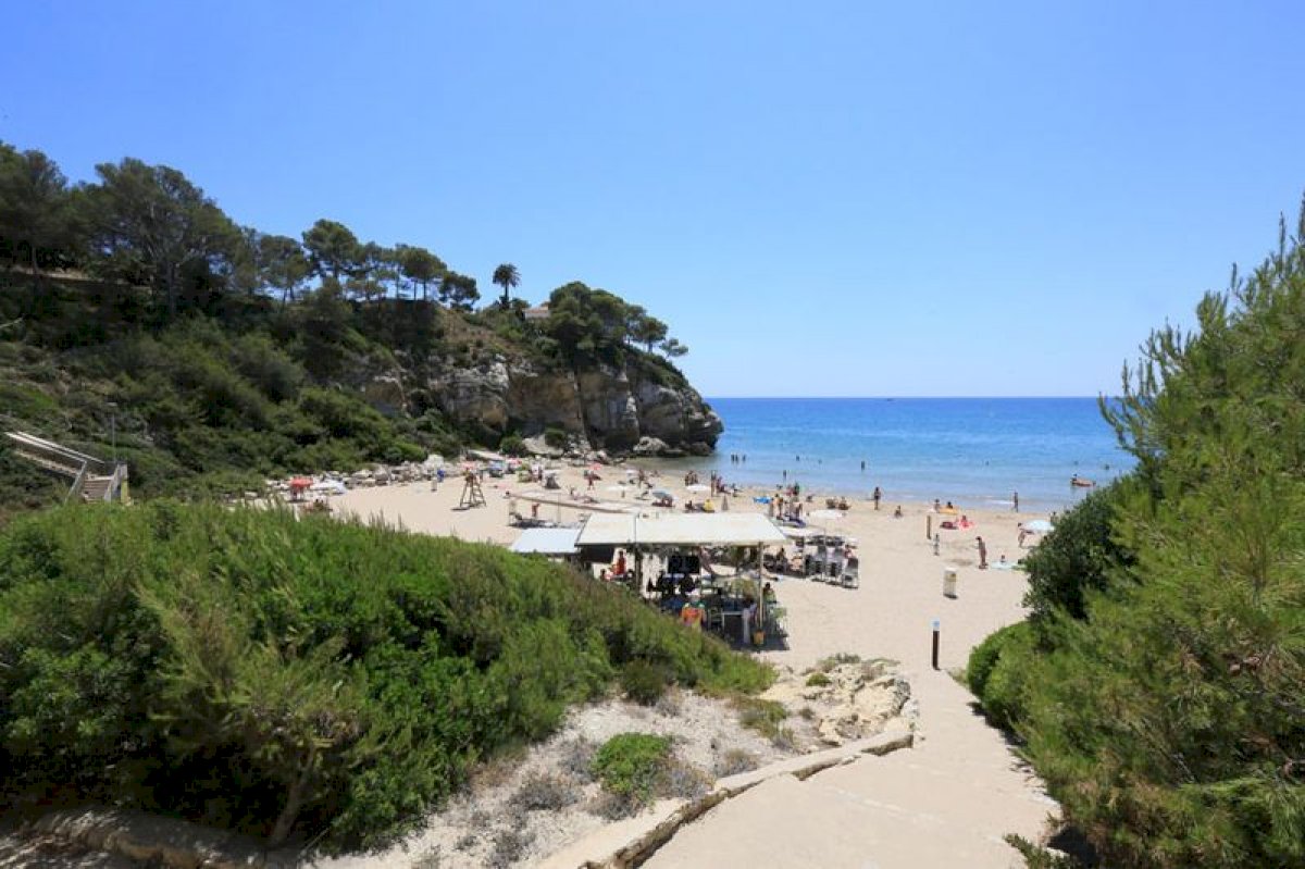 Découvrez comment se garer gratuitement à Salou?