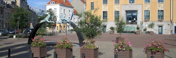 Where to park in Koekelberg