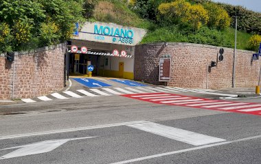 Assisi Mojano