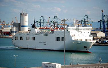 Trasmediterranea, Balearia, MSC