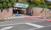 Hoved Assisi Mojano: Hoved