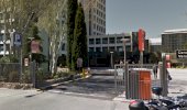 PARKIA Condesa de Venadito