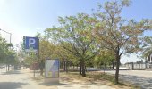 Principal Reservar una plaza en el parking SABA Muelle Las Delicias: Principal