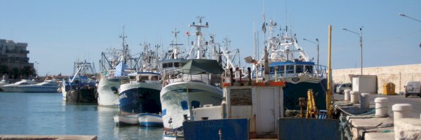 Parking cerca de Terminal - Porto Di Bari