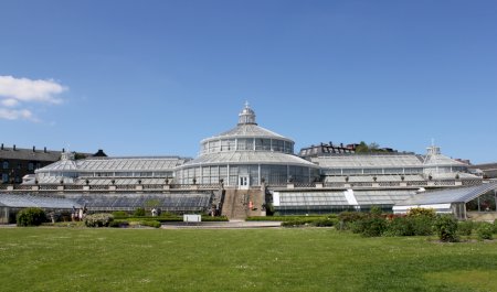 Jardin botanique de l'université de Copenhague , Copenhague
