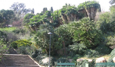 Jardins del Turó del Putxet, Barcellona