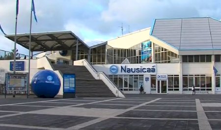 Nausicaá Centre National de la Mer, Boulogne-sur-Mer