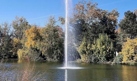Jardin Compans-Caffarelli, Toulouse