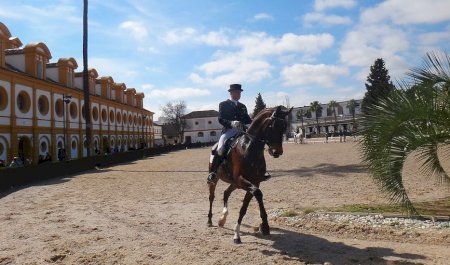 Königlich-Andalusische Reitschule, Jerez de la Frontera