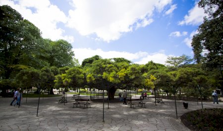 Jardim do Principe Real, Lisbon