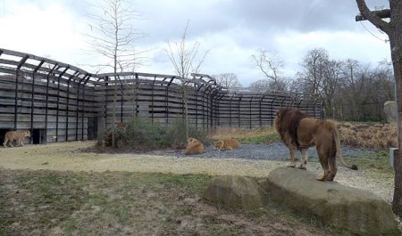 Parc zoologique de Paris, Paris